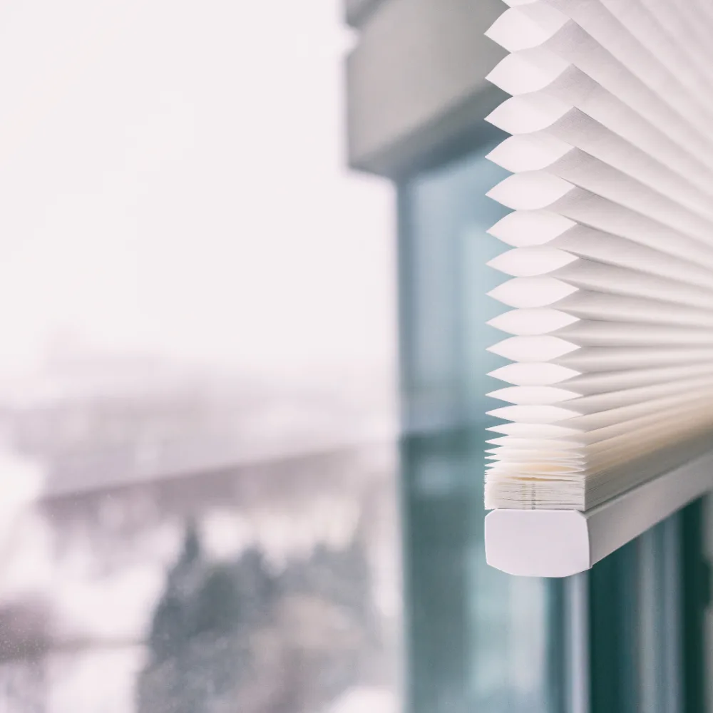 Pleated Blinds